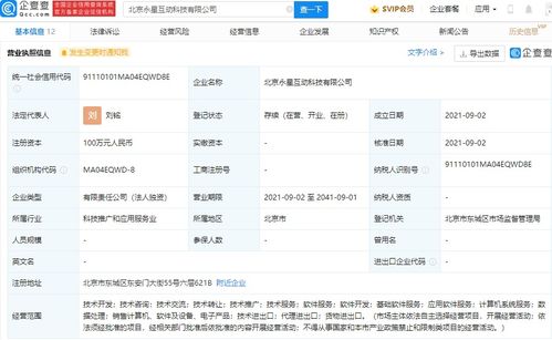 深圳計算機系統(tǒng)服務(wù) 數(shù)字時代的創(chuàng)新引擎與產(chǎn)業(yè)支柱